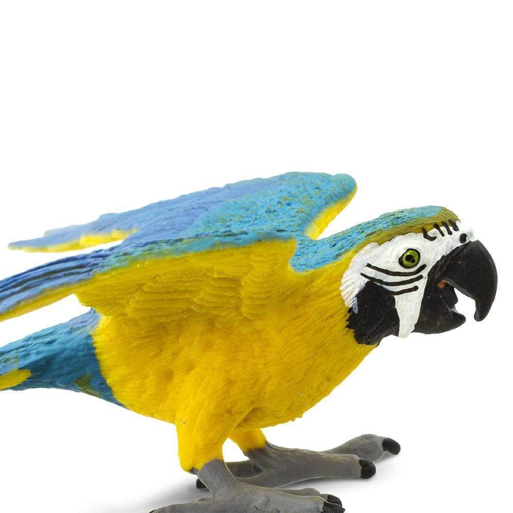 Blue &amp; Gold Macaw Toy | Wildlife Animal Toys | Safari Ltd.