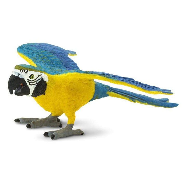Blue & Gold Macaw Toy | Wildlife Animal Toys | Safari Ltd®