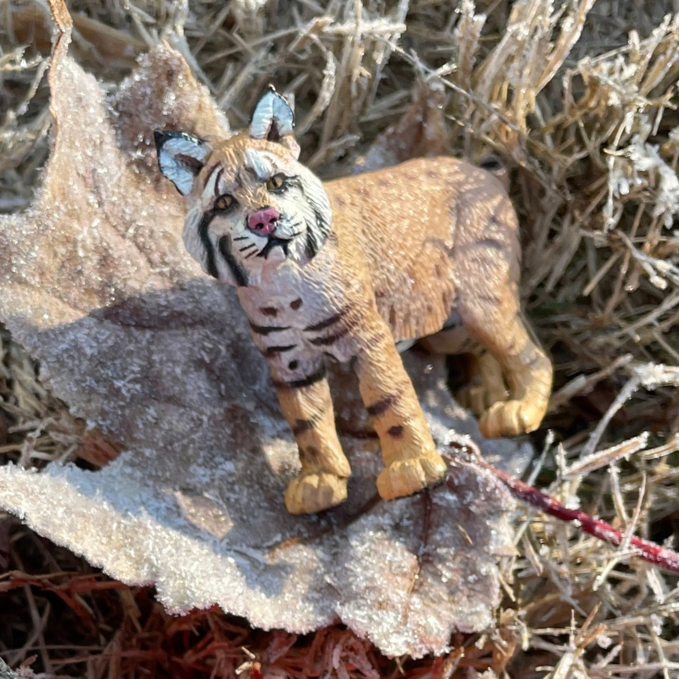 Bobcat Toy - Safari Ltd®