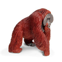 Bornean Orangutan Toy | Wildlife Animal Toys | Safari Ltd.