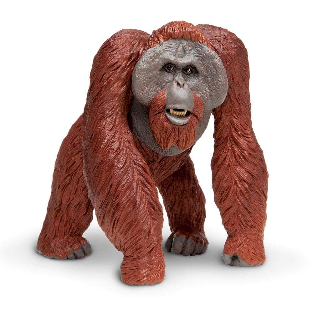 Bornean Orangutan Toy | Wildlife Animal Toys | Safari Ltd®