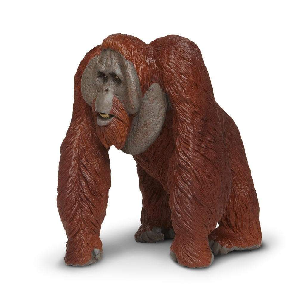 Bornean Orangutan Toy | Wildlife Animal Toys | Safari Ltd.