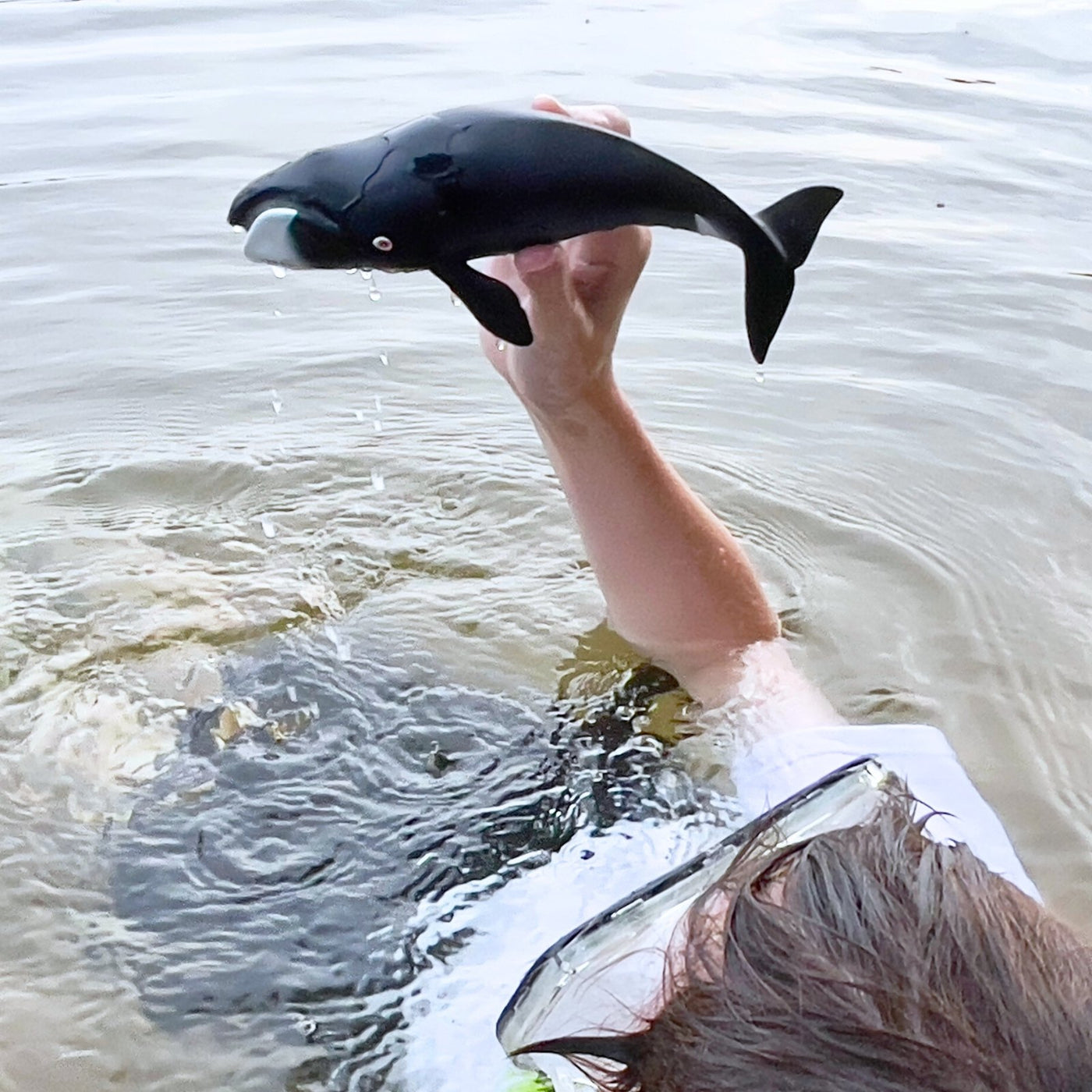 safari ltd bowhead whale