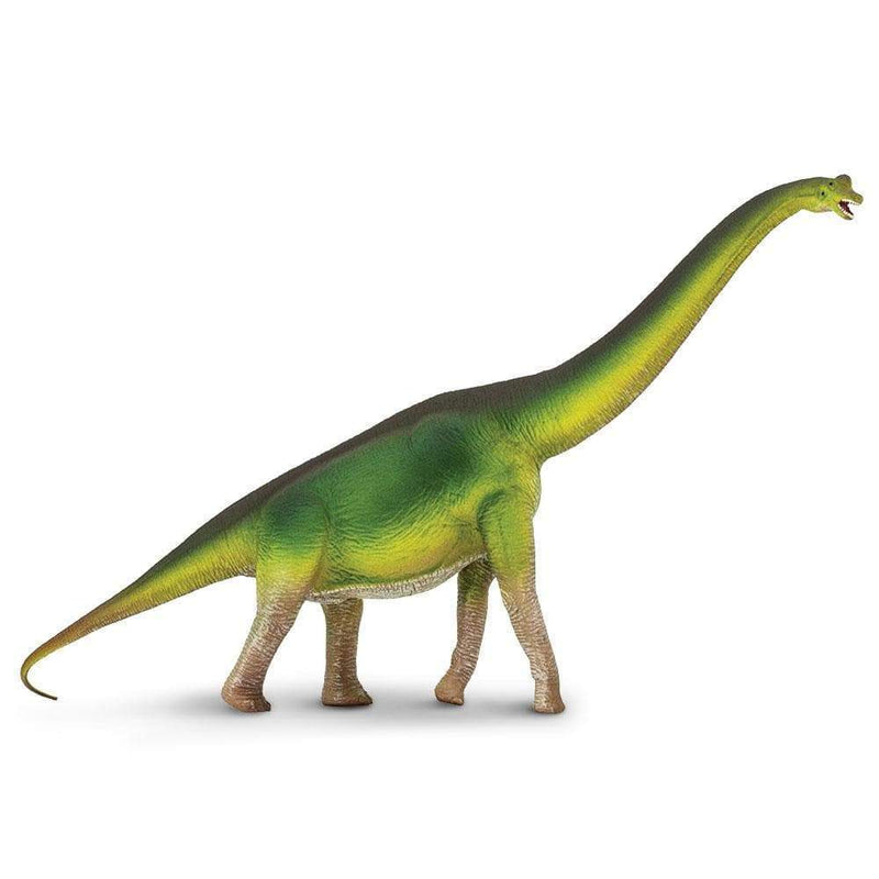 Brachiosaurus Toy | Dinosaur Toys | Safari Ltd. | Safari Ltd®