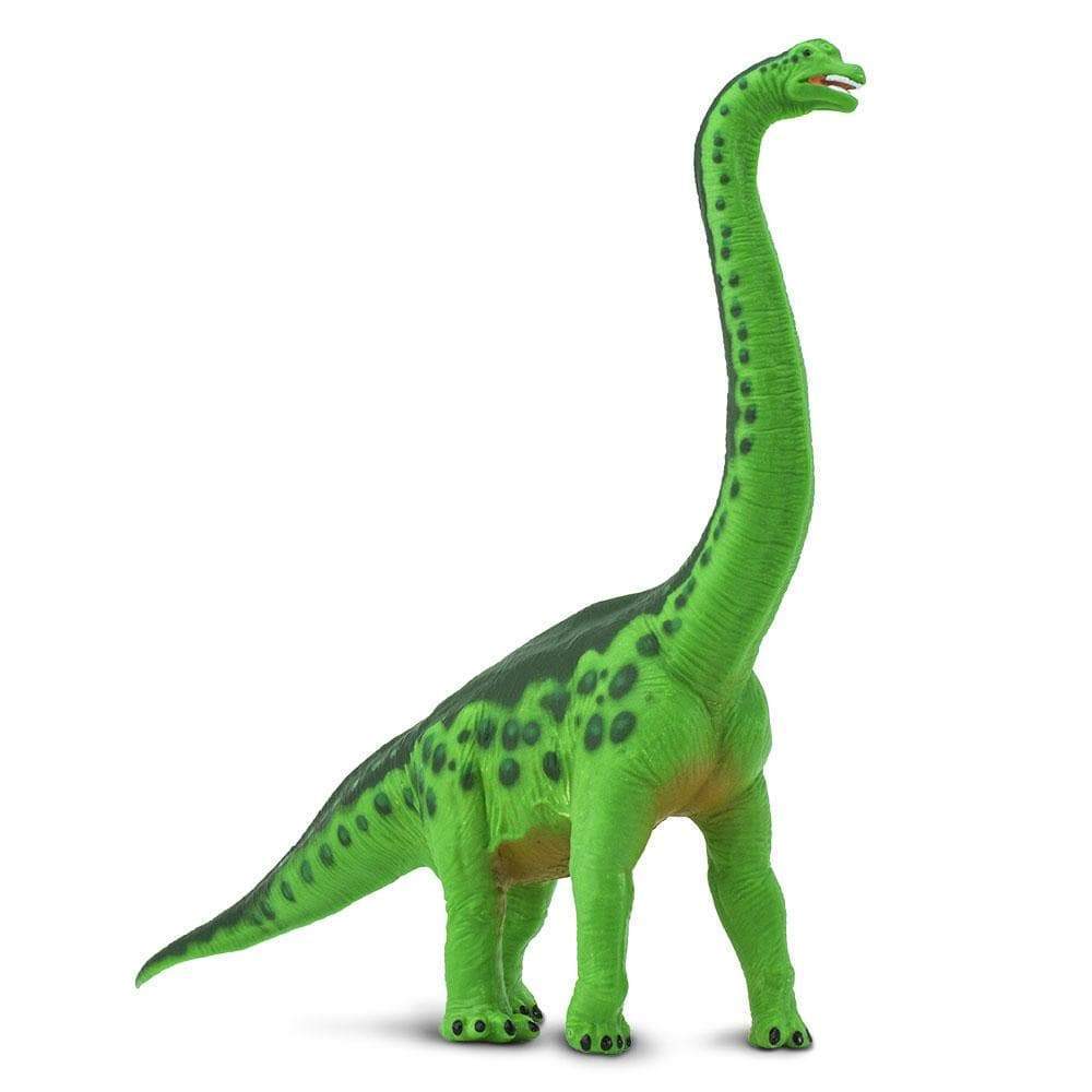 Brachiosaurus Toy | Dinosaur Toys | Safari Ltd.