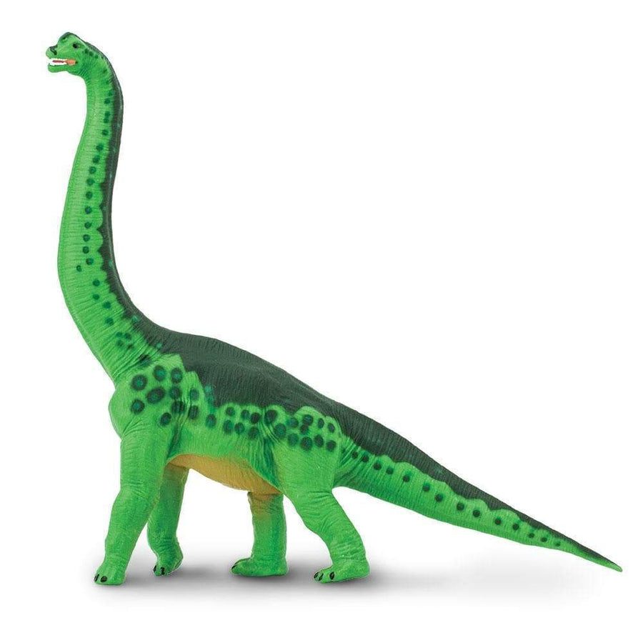 Brachiosaurus Toy | Dinosaur Toys | Safari Ltd.