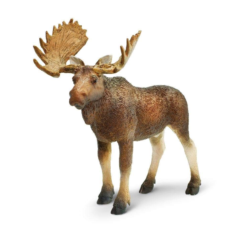 Bull Moose Toy | Wildlife Animal Toys | Safari Ltd.