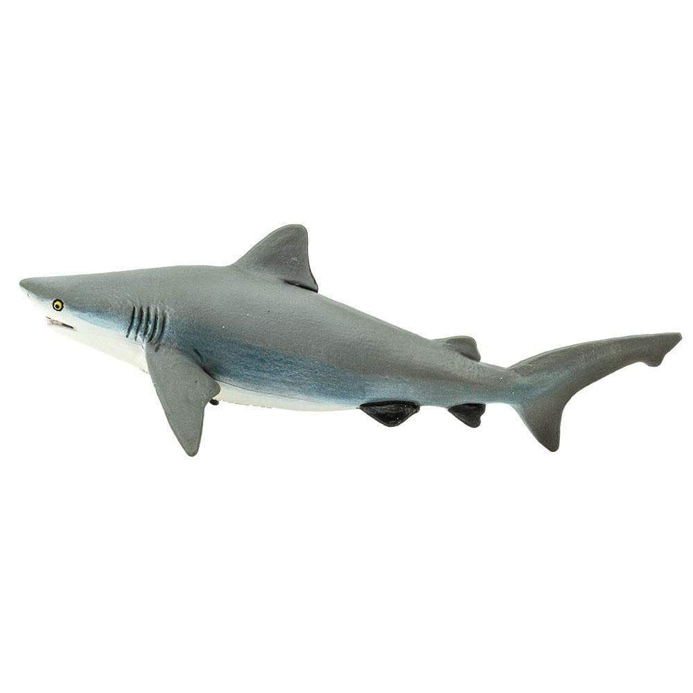 Bull Shark Toy - Sea Life Toys by Safari Ltd.