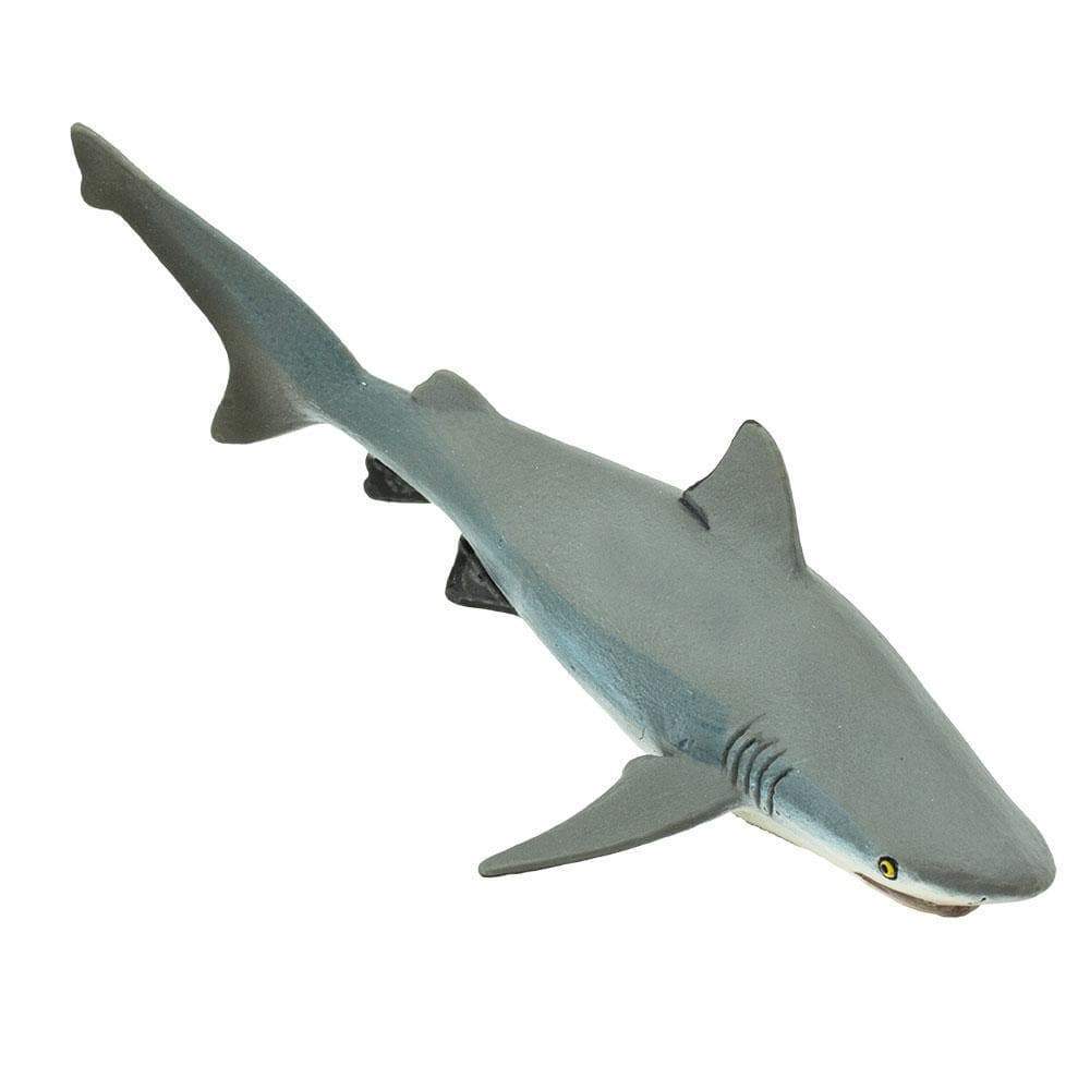 Bull Shark Toy - Sea Life Toys by Safari Ltd.