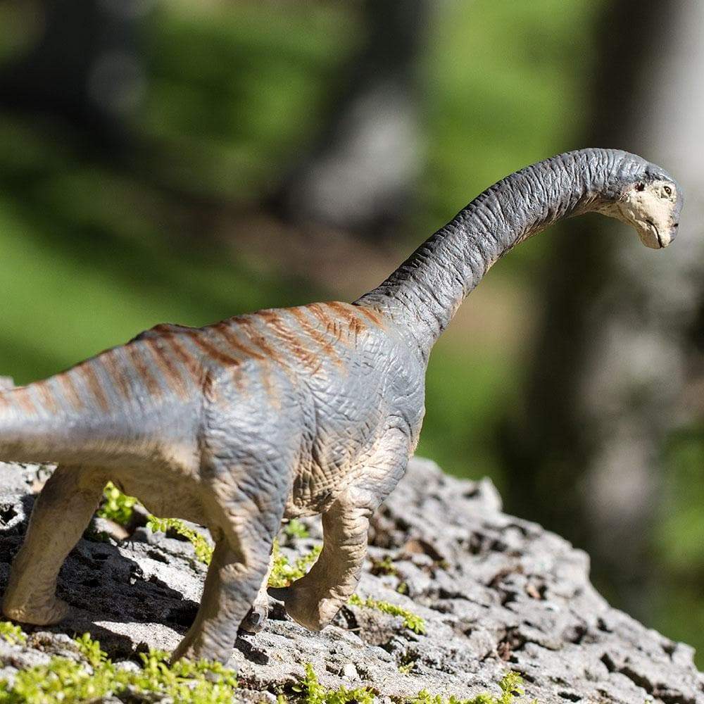 Camarasaurus Toy | Dinosaur Toys | Safari Ltd.