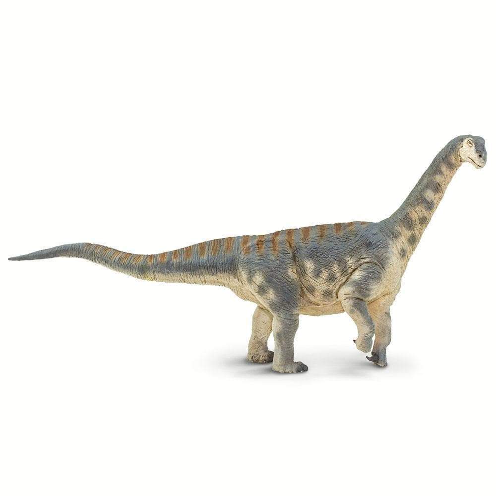 Camarasaurus Toy | Dinosaur Toys | Safari Ltd.