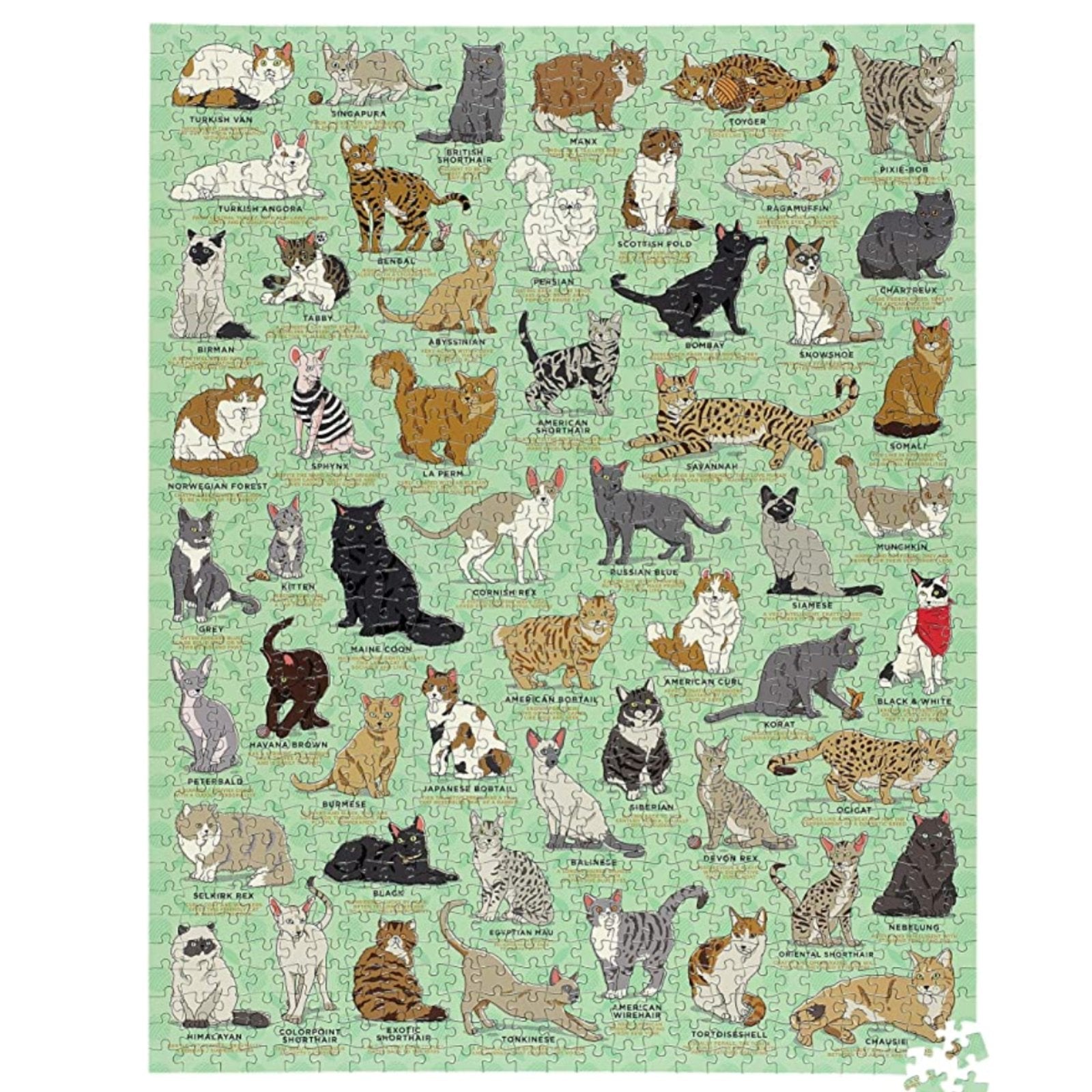 Furry Friends - 1,000 Piece Dog & Cat Jigsaw Puzzle