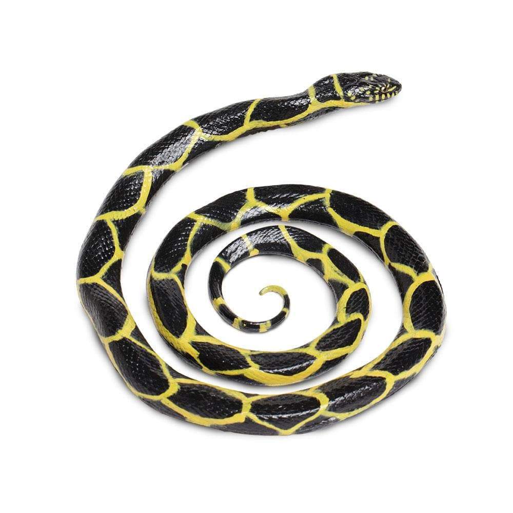 Chain Kingsnake - Safari Ltd®