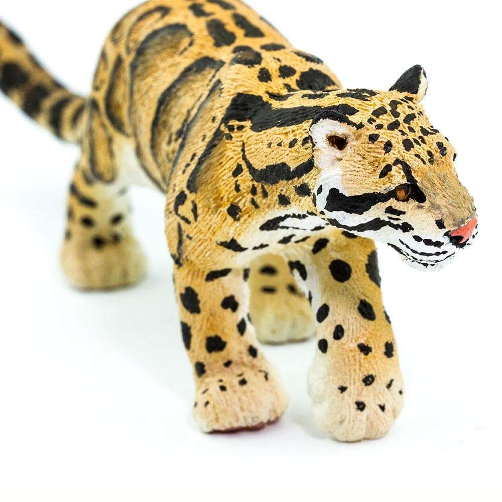 Clouded Leopard - Safari Ltd®