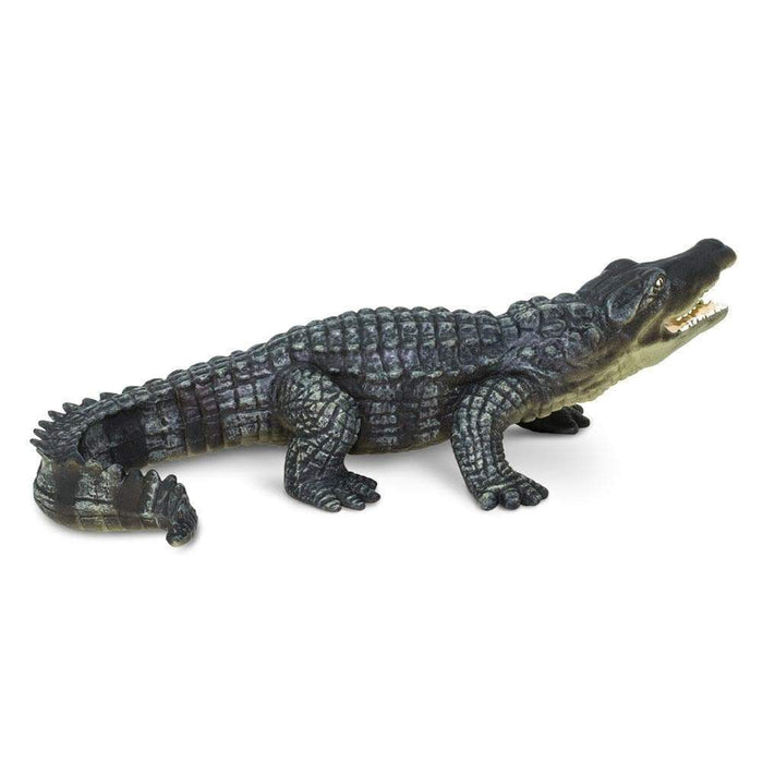 Jouet en caoutchouc naturel - Crocodile – Nano in Black
