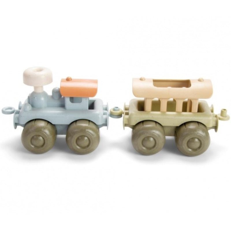 dantoy Bio Train Gift Box - Safari Ltd®