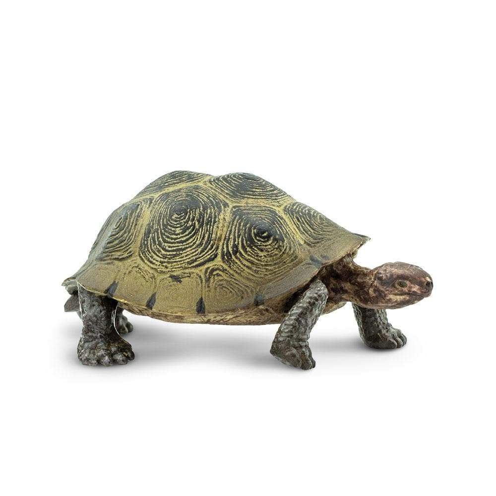 Desert Tortoise Toy | Wildlife Animal Toys | Safari Ltd®