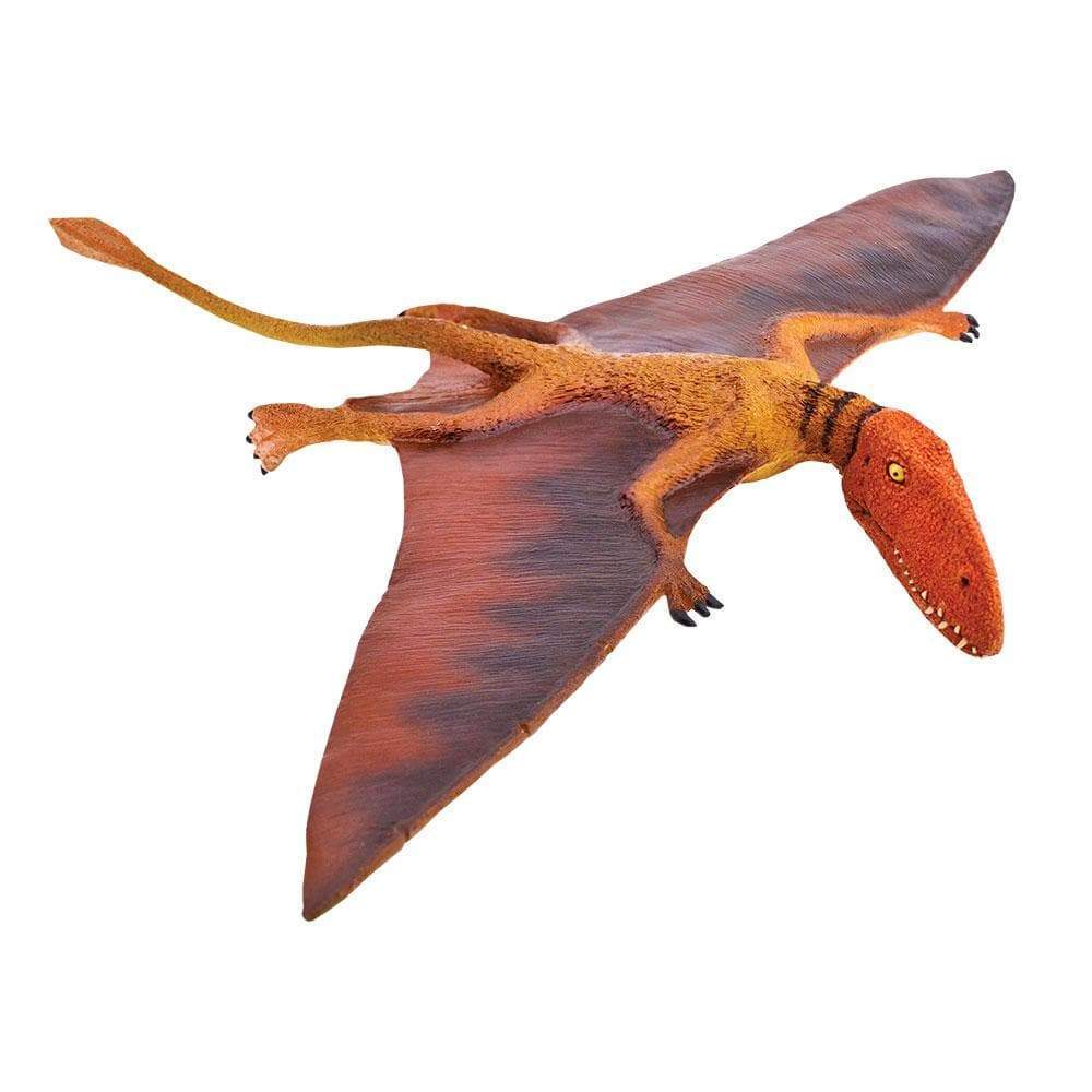 Flying Dinosaurs Names  Pterodactyl, Quetzalcoatlus, & Dimorphodon