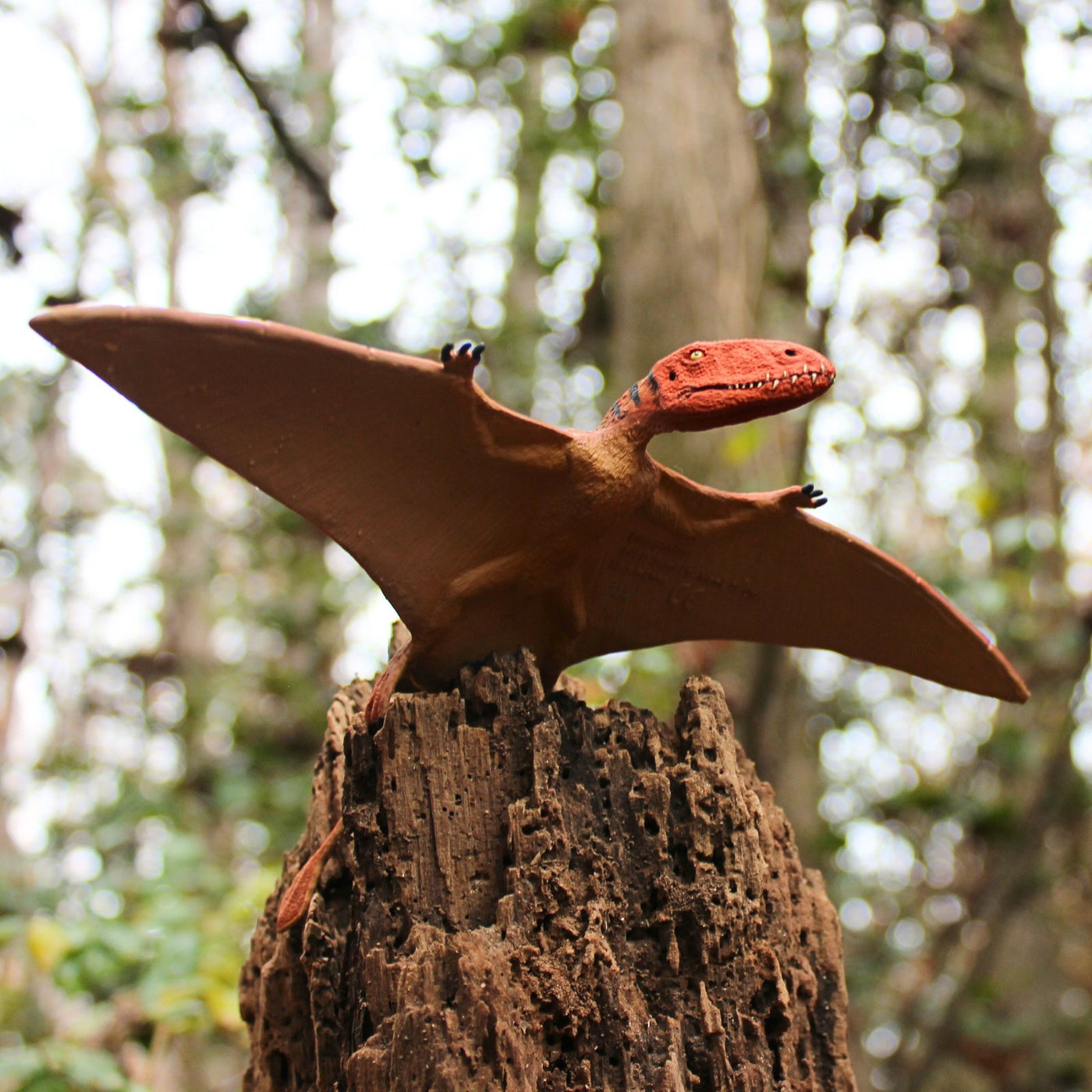 Dimorphodon Toy - Safari Ltd®