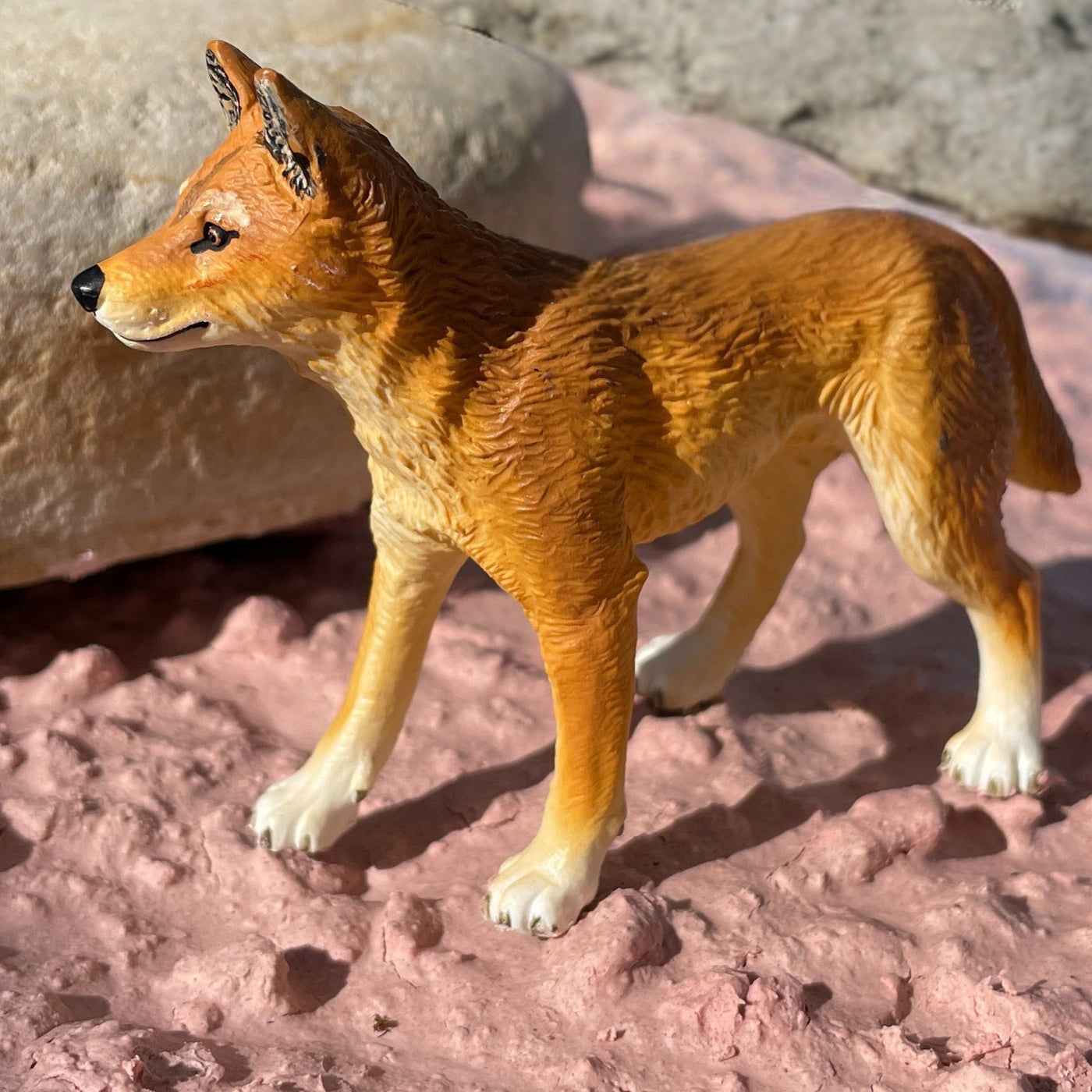 Dingo Toy - Safari Ltd®