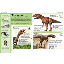 DK Pocket Genius: Dinosaurs | Books | Safari Ltd®