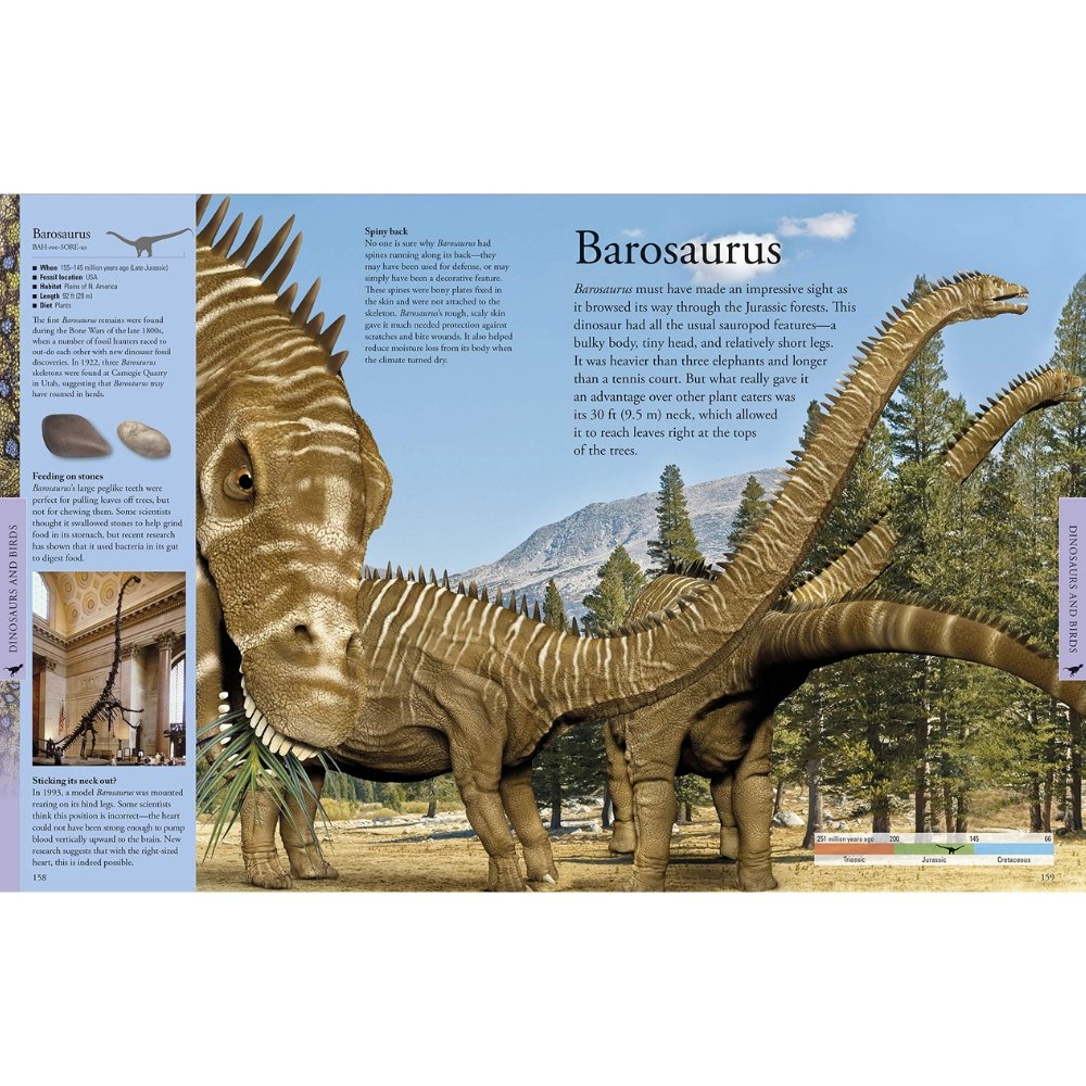 DK Visual Encyclopedia of Dinosaurs - Safari Ltd®