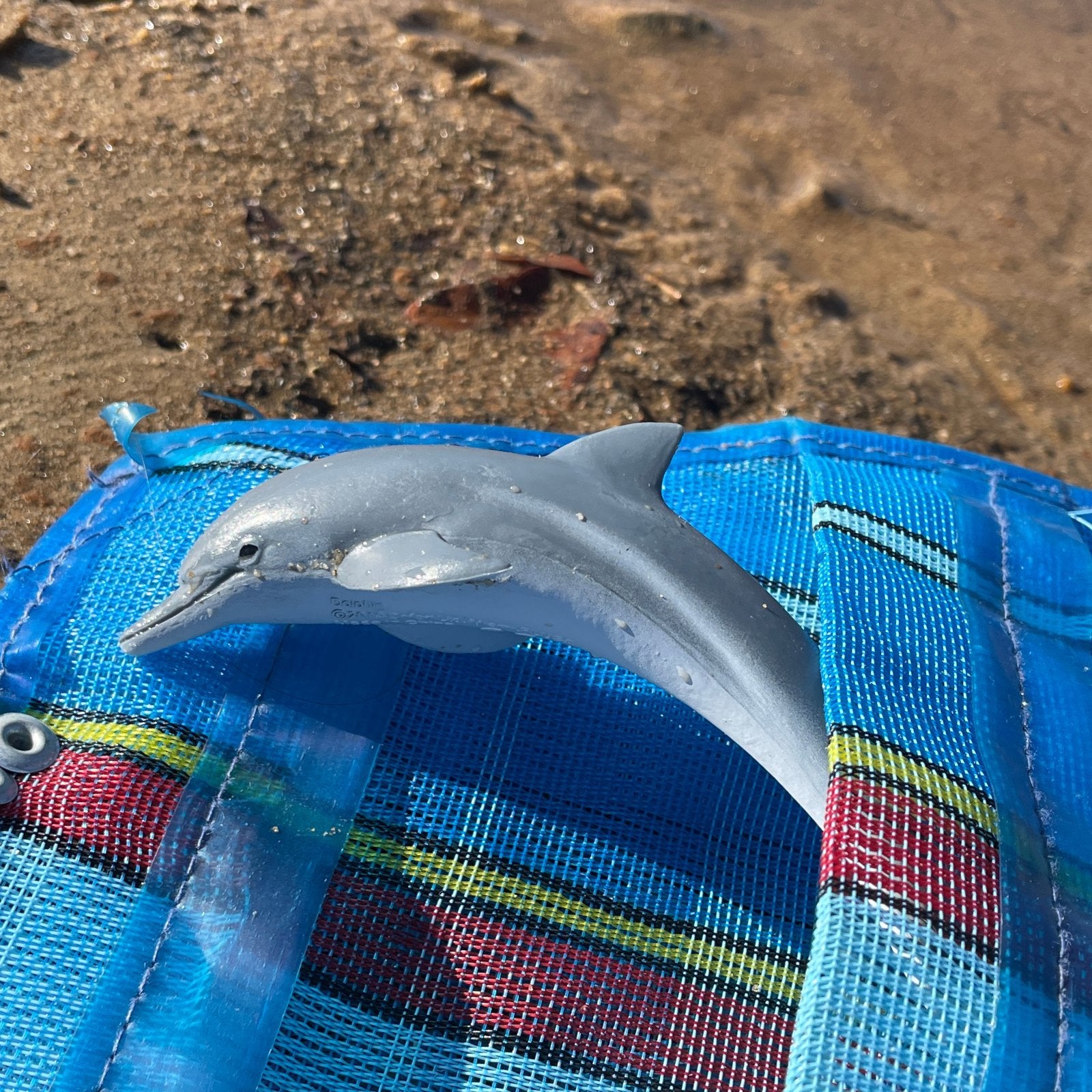 Dolphin Toy - Safari Ltd®