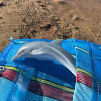 Dolphin Toy - Safari Ltd®