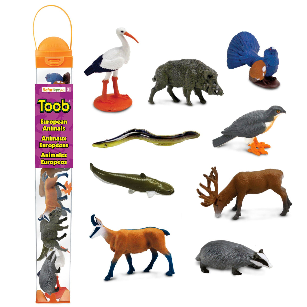 Backyard birds figurines TOOB - Safari Ltd - Teia Education & Play