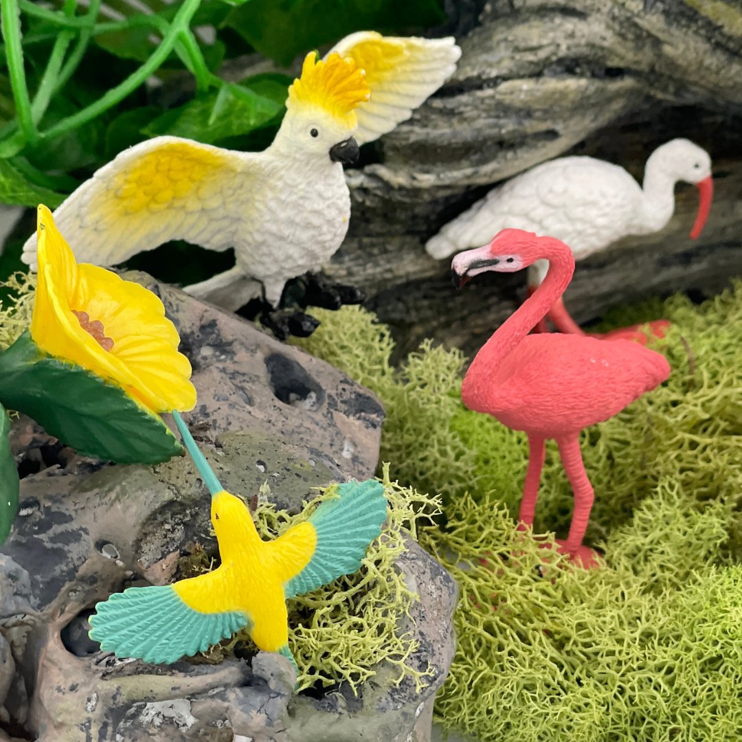 Exotic Birds TOOB® - Safari Ltd®