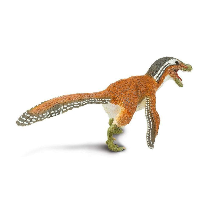 Velociraptor and Other Small, Speedy, Meat-Eaters: And Other Small