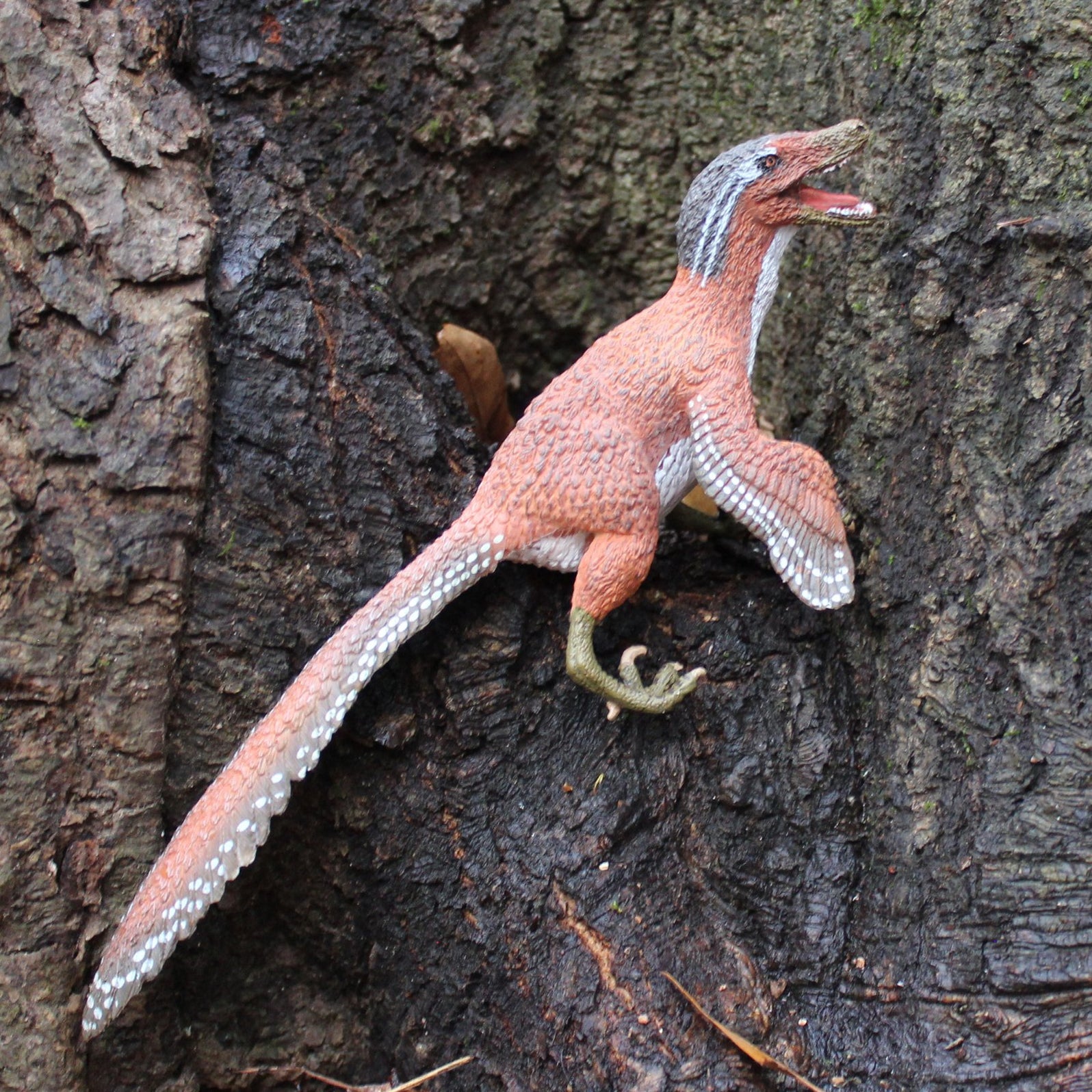 safari ltd feathered velociraptor