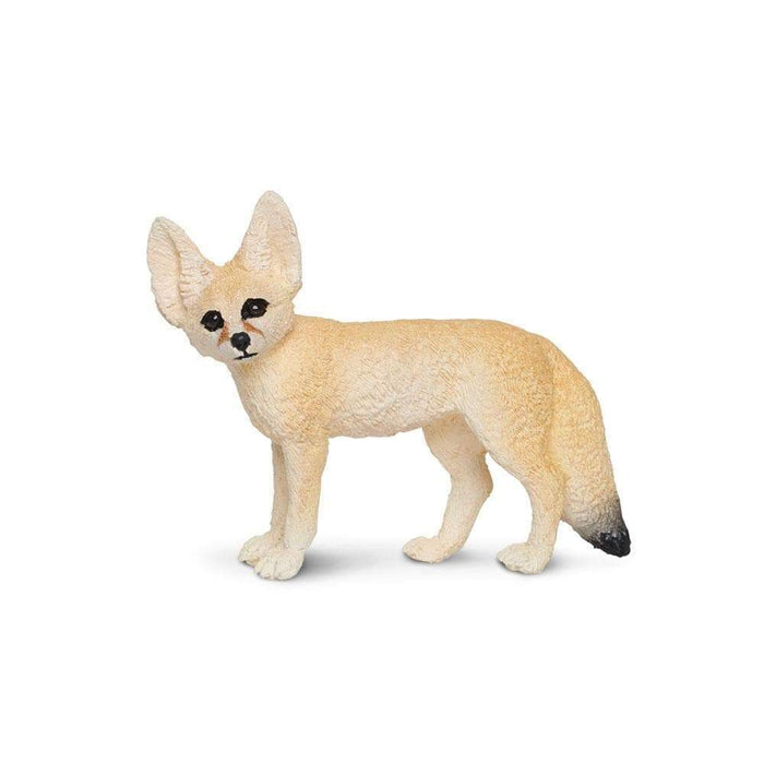 b baby fennec fox
