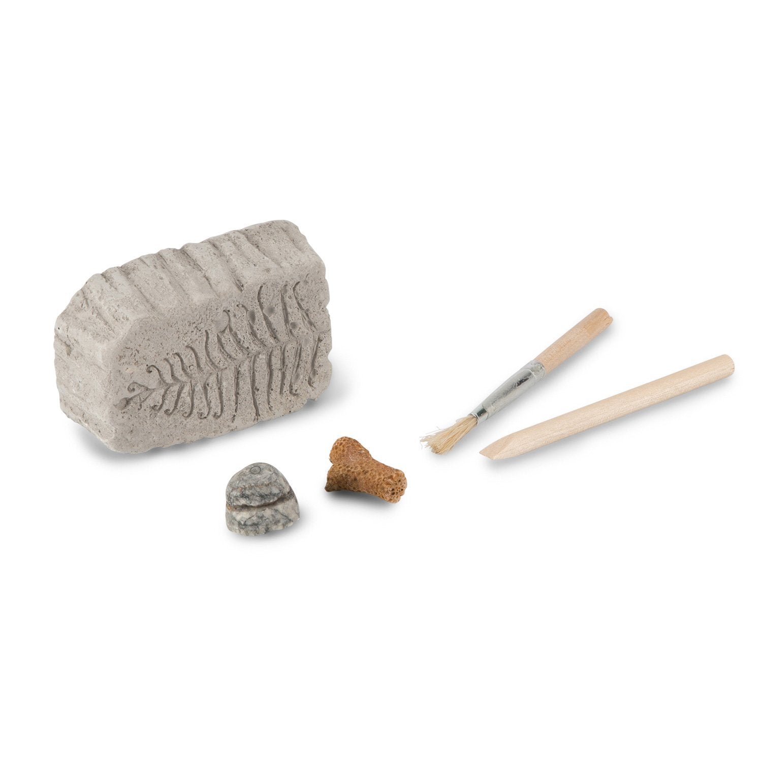 Fossil Dig Paleontology Kit - Safari Ltd®