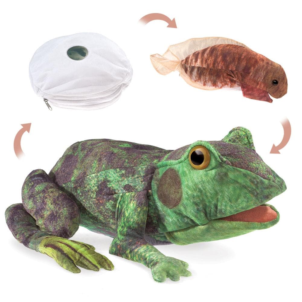 Puzzled Frog 6-Inch Plush