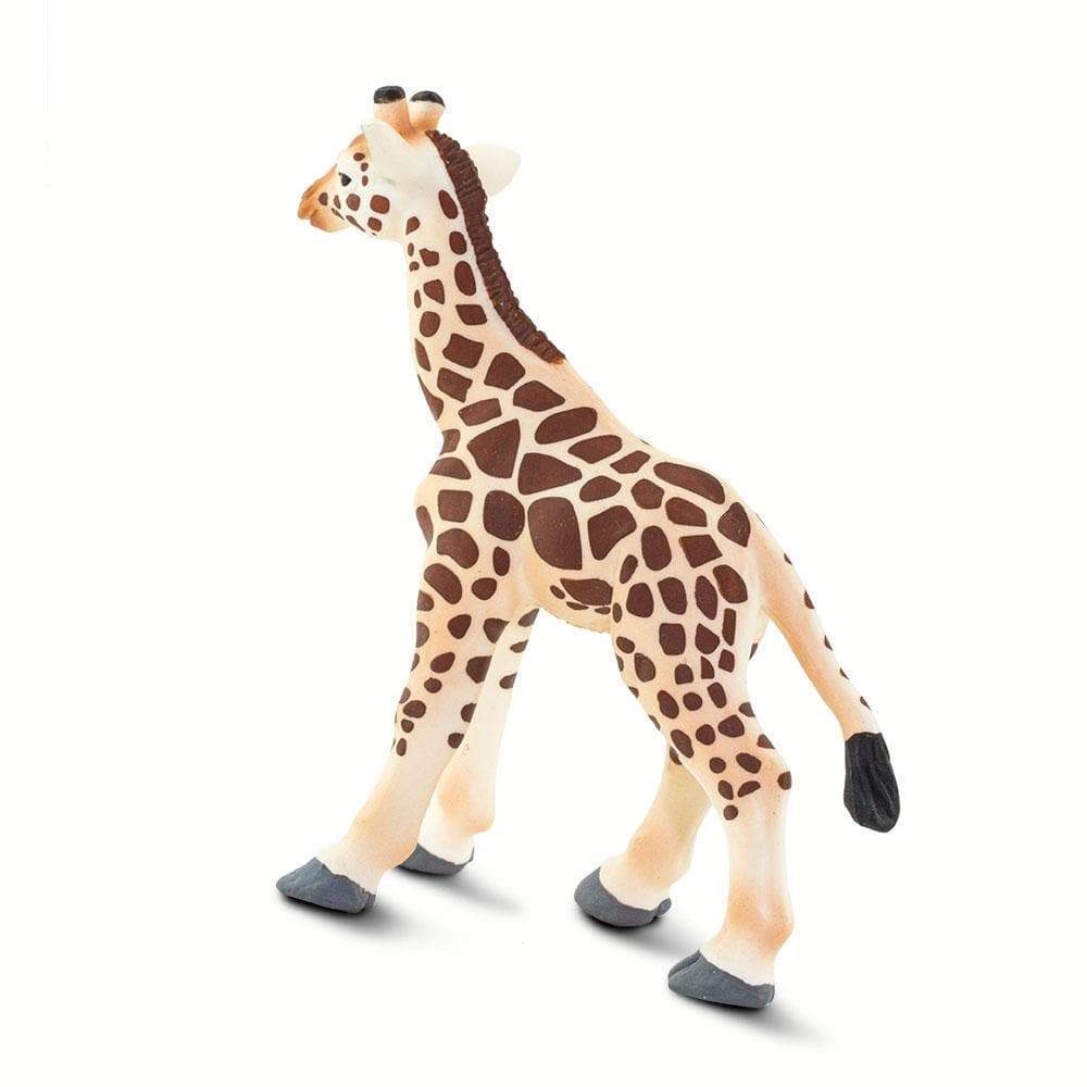 Giraffe Baby - Safari Ltd®