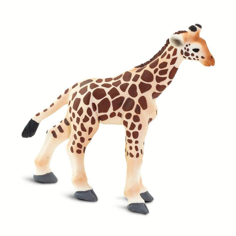 Giraffe Baby - Safari Ltd®