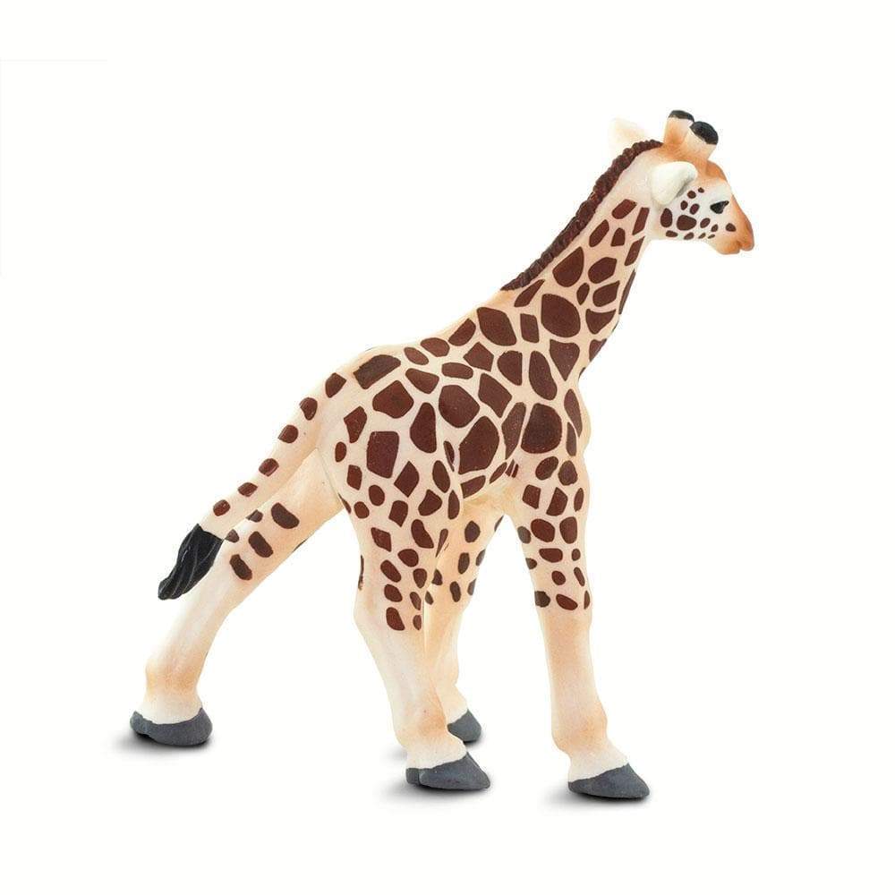 Giraffe Baby - Safari Ltd®