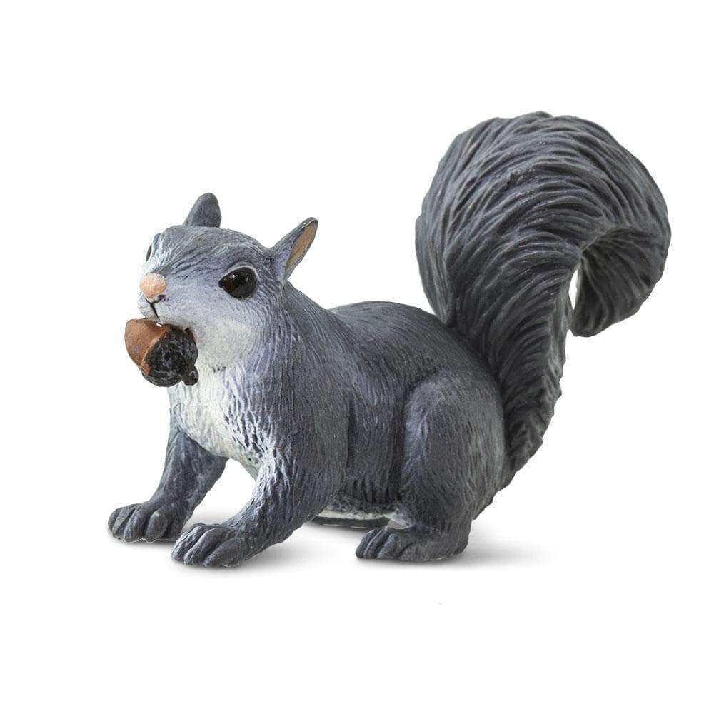 Gray Squirrel Toy | Wildlife Animal Toys | Safari Ltd.