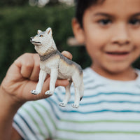 Gray Wolf Toy - Safari Ltd®