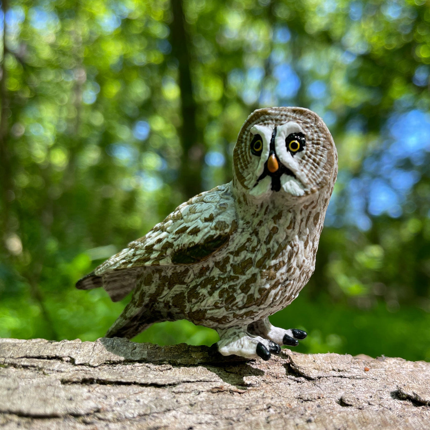 Great Grey Owl Toy - Safari Ltd®