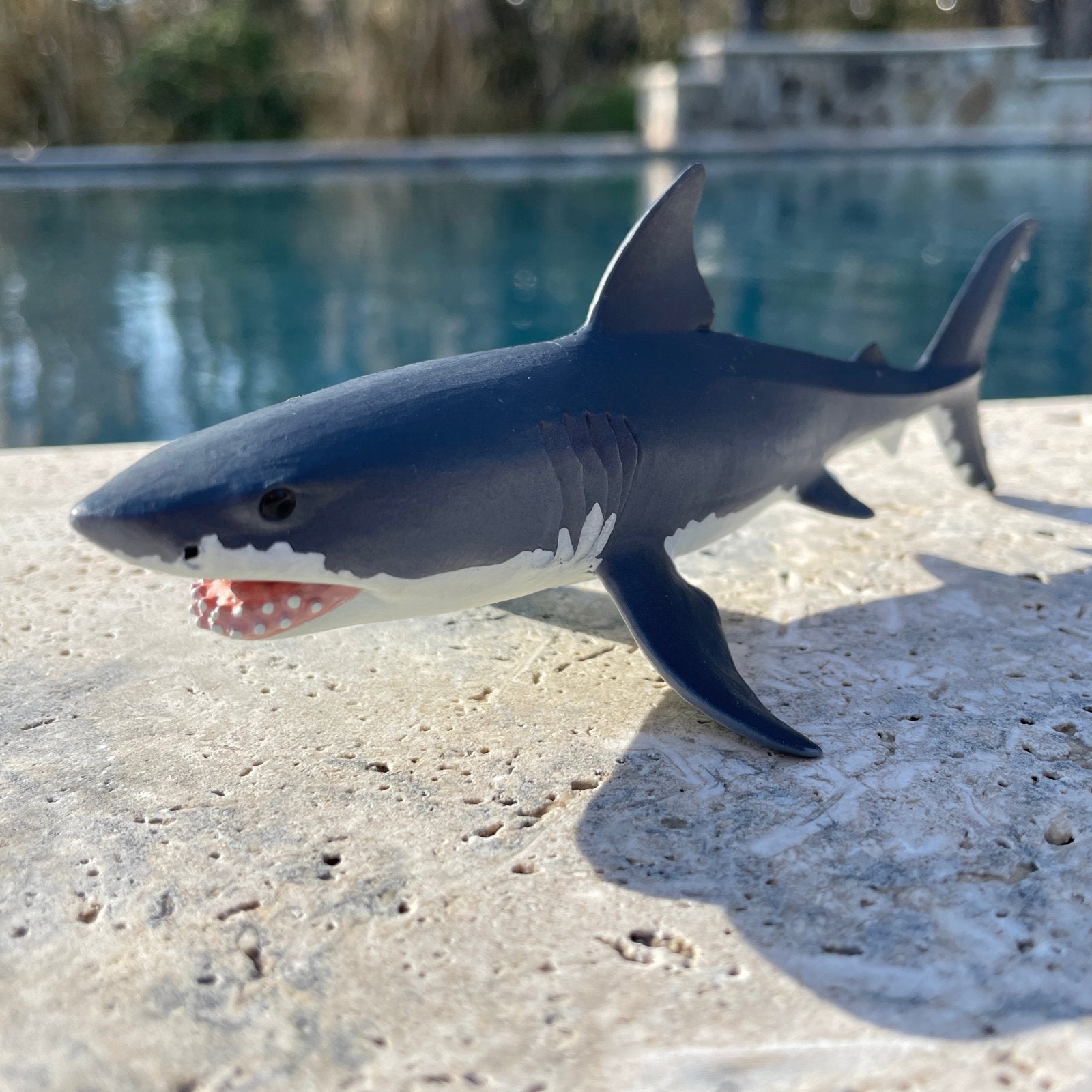 Great White Shark Toy - Safari Ltd®