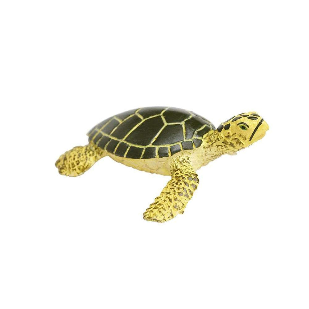 Green Sea Turtle Baby Toy | Sea Life | Safari Ltd®