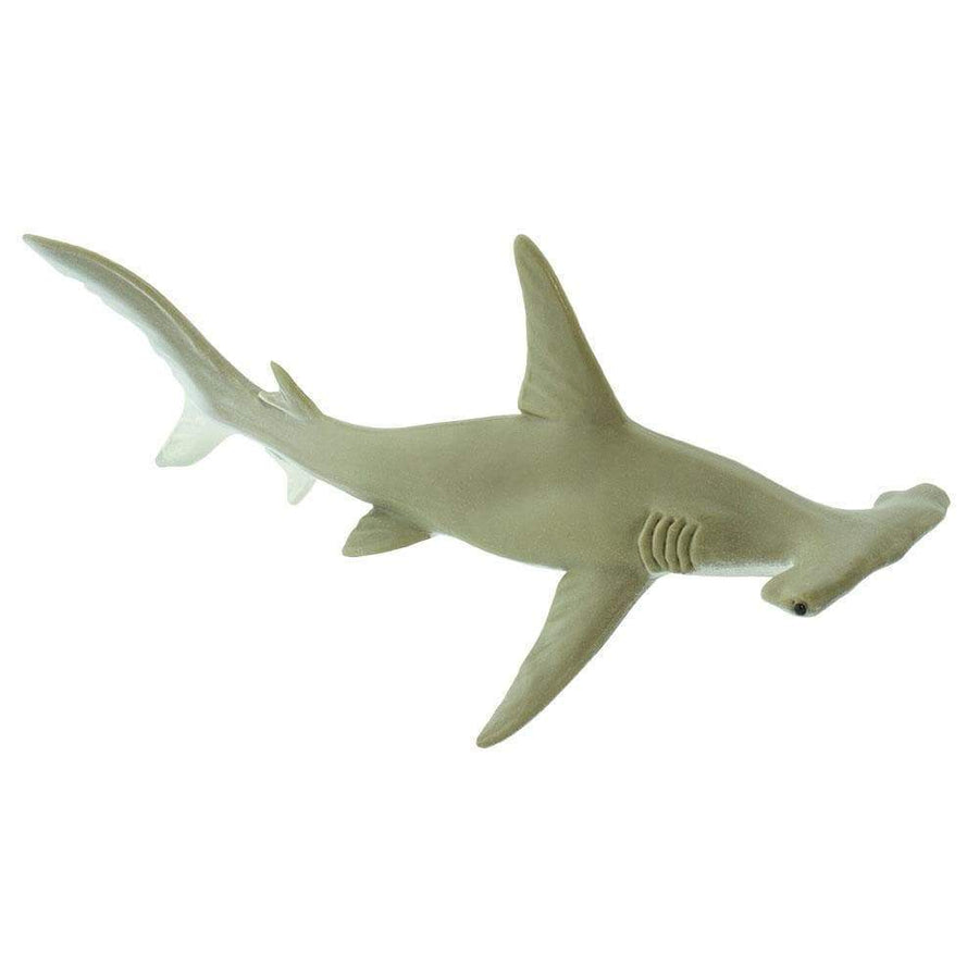 Hammerhead Shark Toy - Sea Life Toys by Safari Ltd.