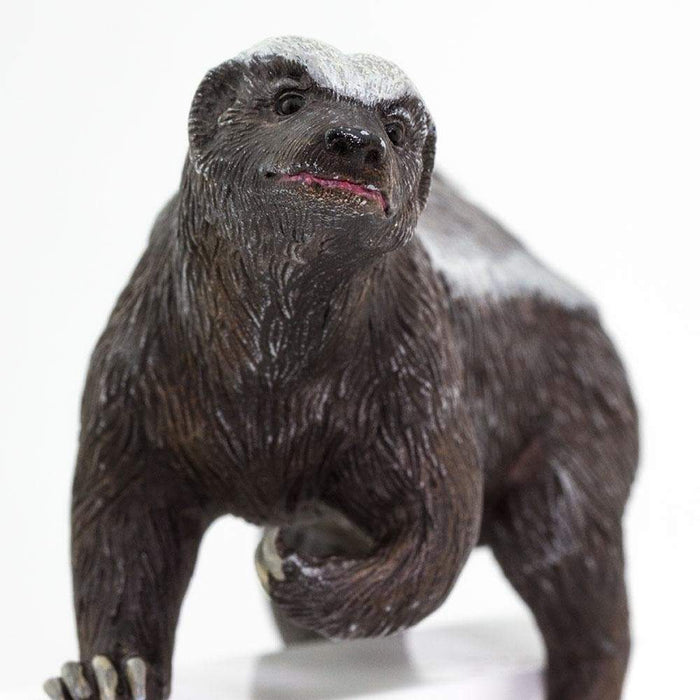 Discover stuffed animal honey badgers on Tedsby