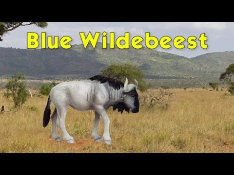 Wildebeest Toy