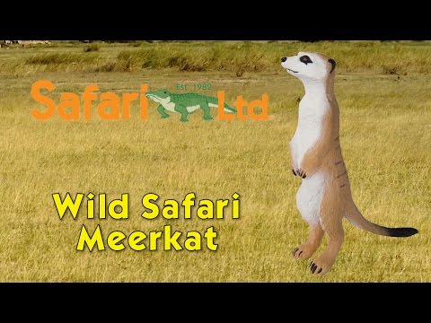 Meerkat Toy