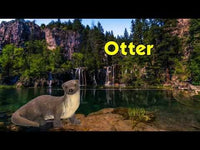 River Otter Toy