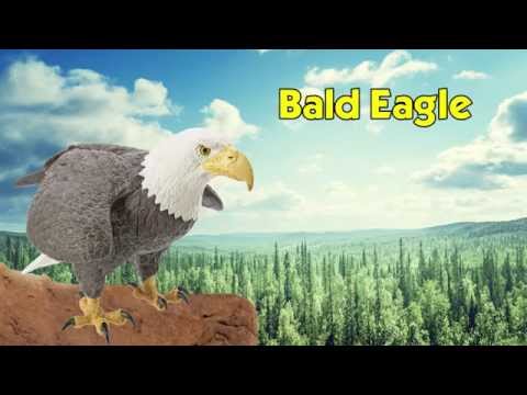 Bald Eagle Toy