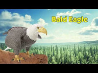 Bald Eagle Toy